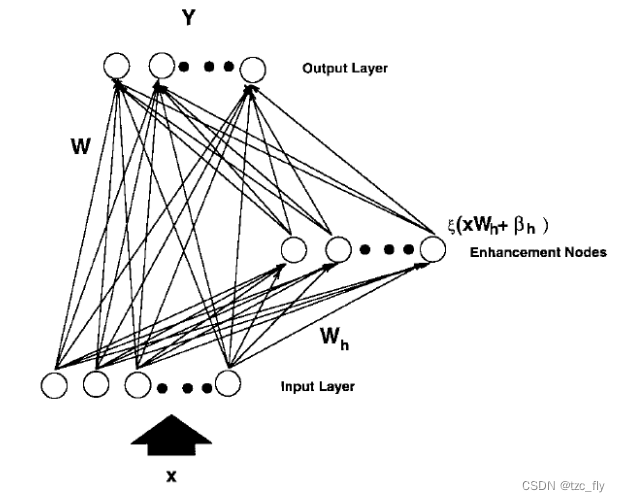 fig2