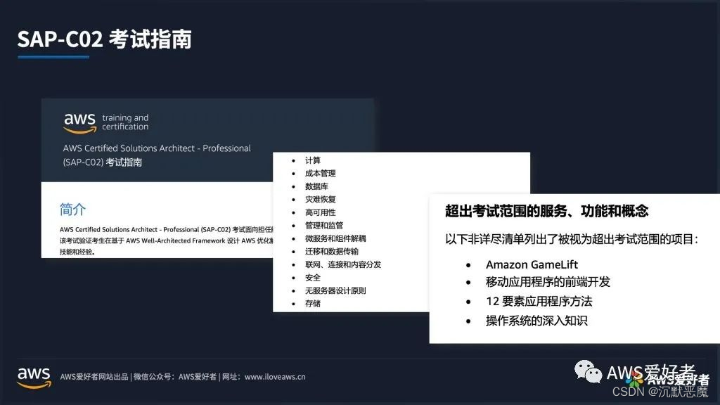 AWS SAP-C02 考试指南