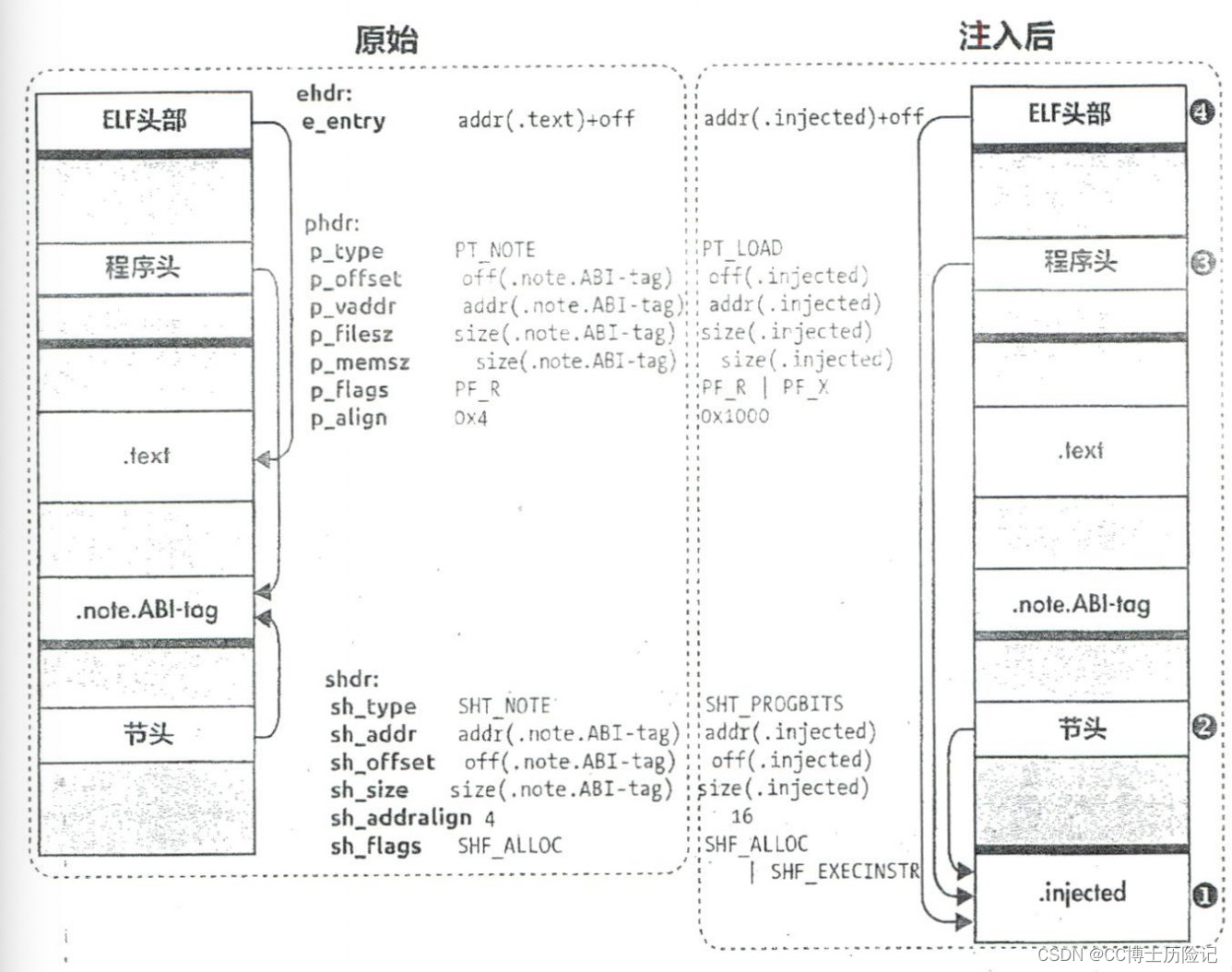 【7】简单的ELF代码注入技术_elfinject-CSDN博客