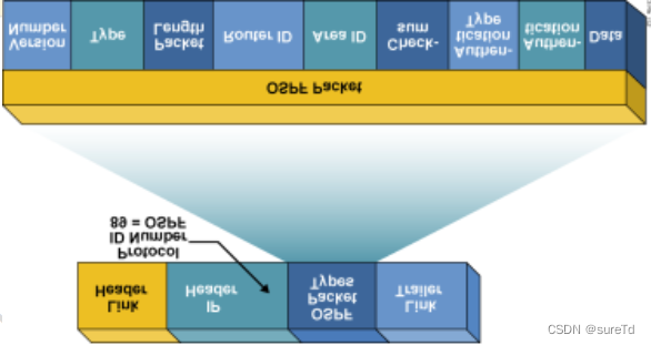 ![在这里插入图片描述](https://img-blog.csdnimg.cn/24c14dc75c1249ccaac5cd222d968b71.