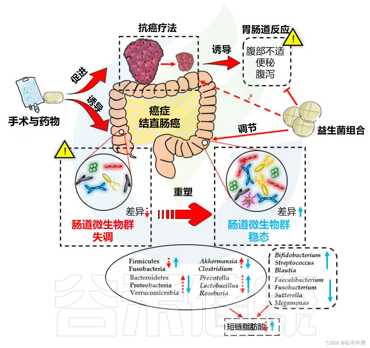 肠道微生物可改善围手术期和术后康复效果