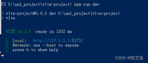 npm run dev