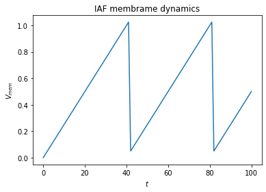 Membrane potential dynamics