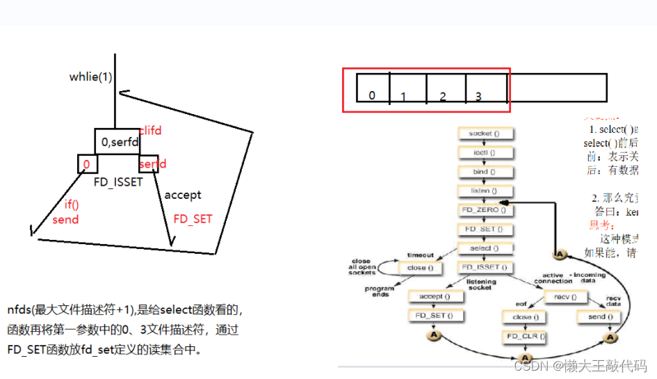 C/C++网络编程基础知识超详细讲解第二部分（系统性学习day12）