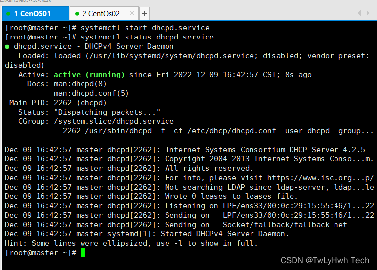Centos 配置DHCP服务器_centos dhcpCSDN博客