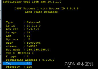 OSPF------LSA 详解