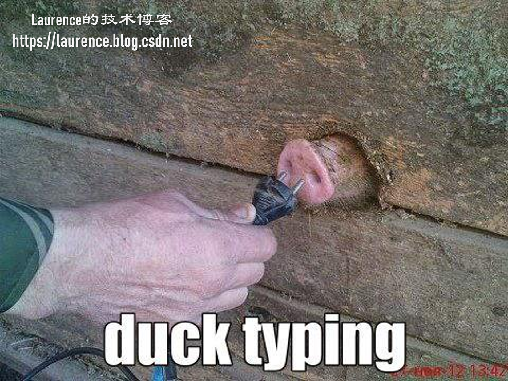 Python笔记 · 鸭子类型 / Duck Typing