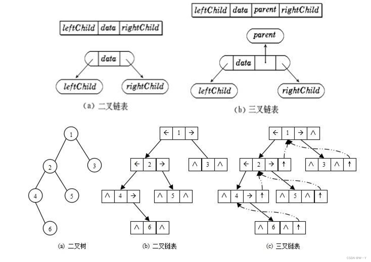 树的引进以及二叉树的基础讲解——【数据结构】