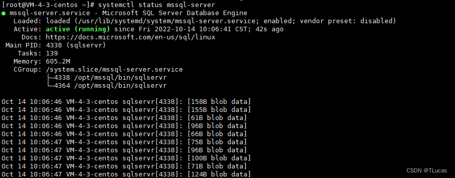 SQL Server运行状态