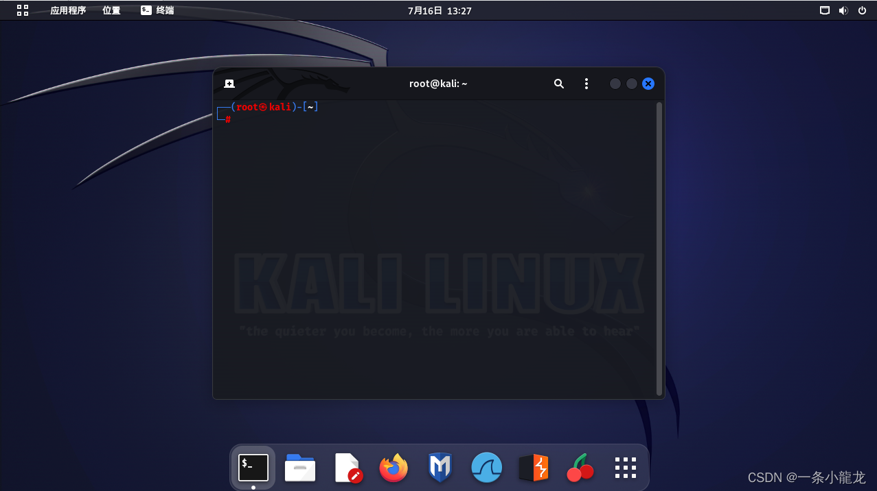 新版kali root无法登录问题-已解决_kali直接root用户登录-CSDN博客