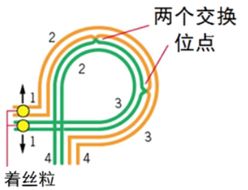 【听课笔记】复旦大学遗传学_05染色体畸变_邻近分离和交互分离-CSDN博客