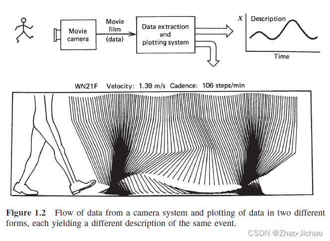 【Biomechanics】1 Biomechanics as an Interdiscipline