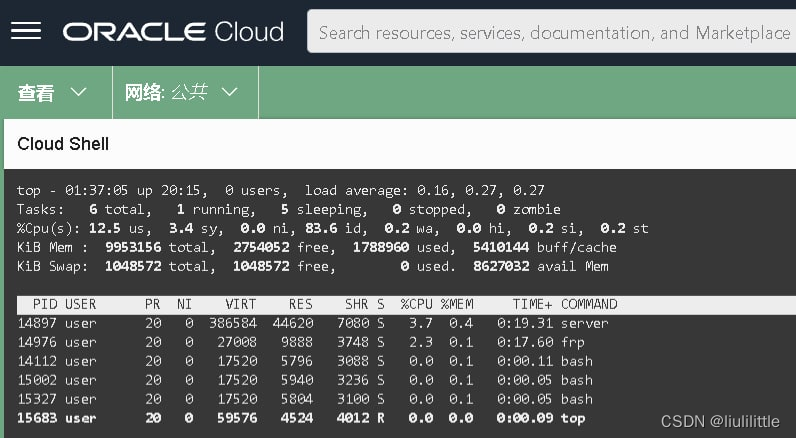 Oracle Cloud Shell（甲骨文云Shell）+ FRP（反向代理）实现防火墙穿透，内网端口映，射公网