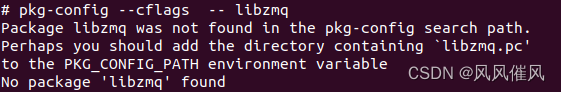 Go 报错 Package libzmq was not found in the pkg-config search path.