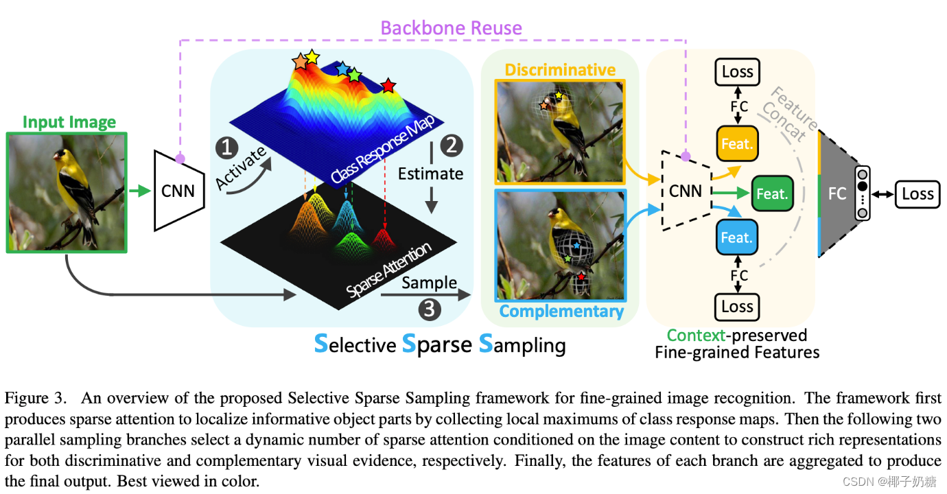 Selective Sparse Sampling for Finegrained Image RecognitionCSDN博客