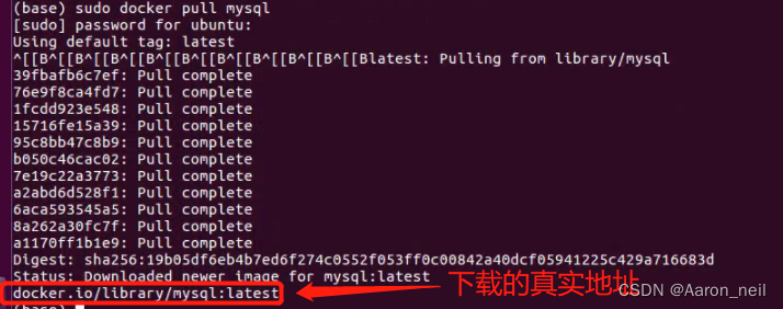 Docker - 3. 镜像常用命令 docker images、search、pull、rmi