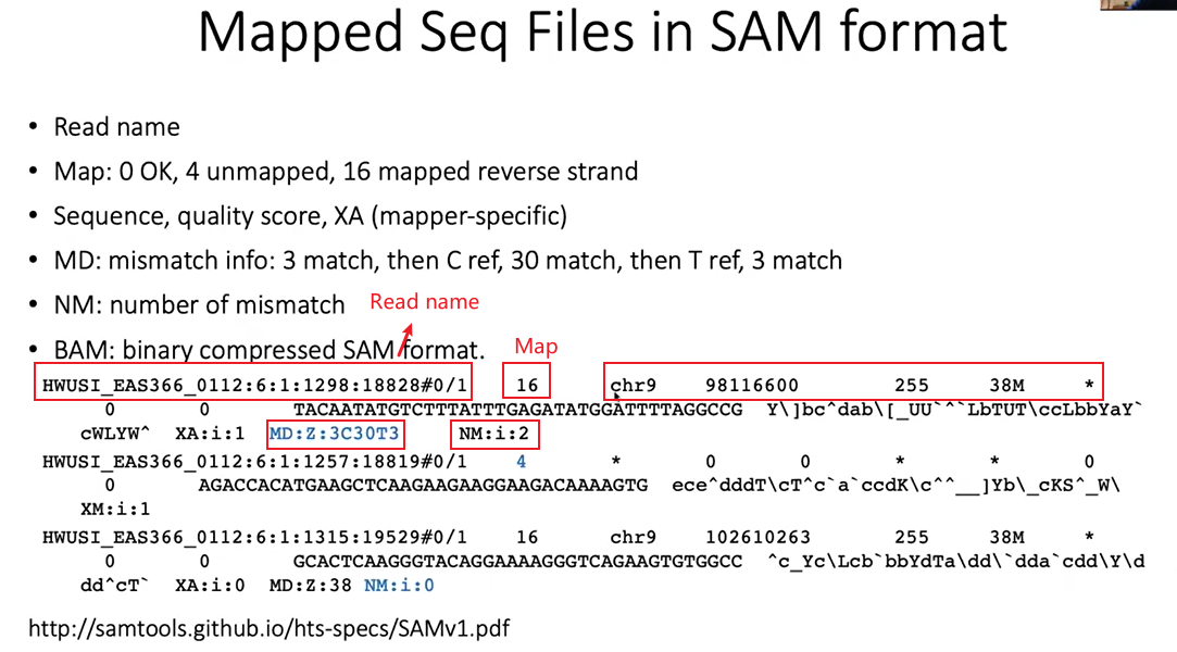 生信学习——sam和bam格式文件的shell小练习（附详细答案解读）CSDN博客