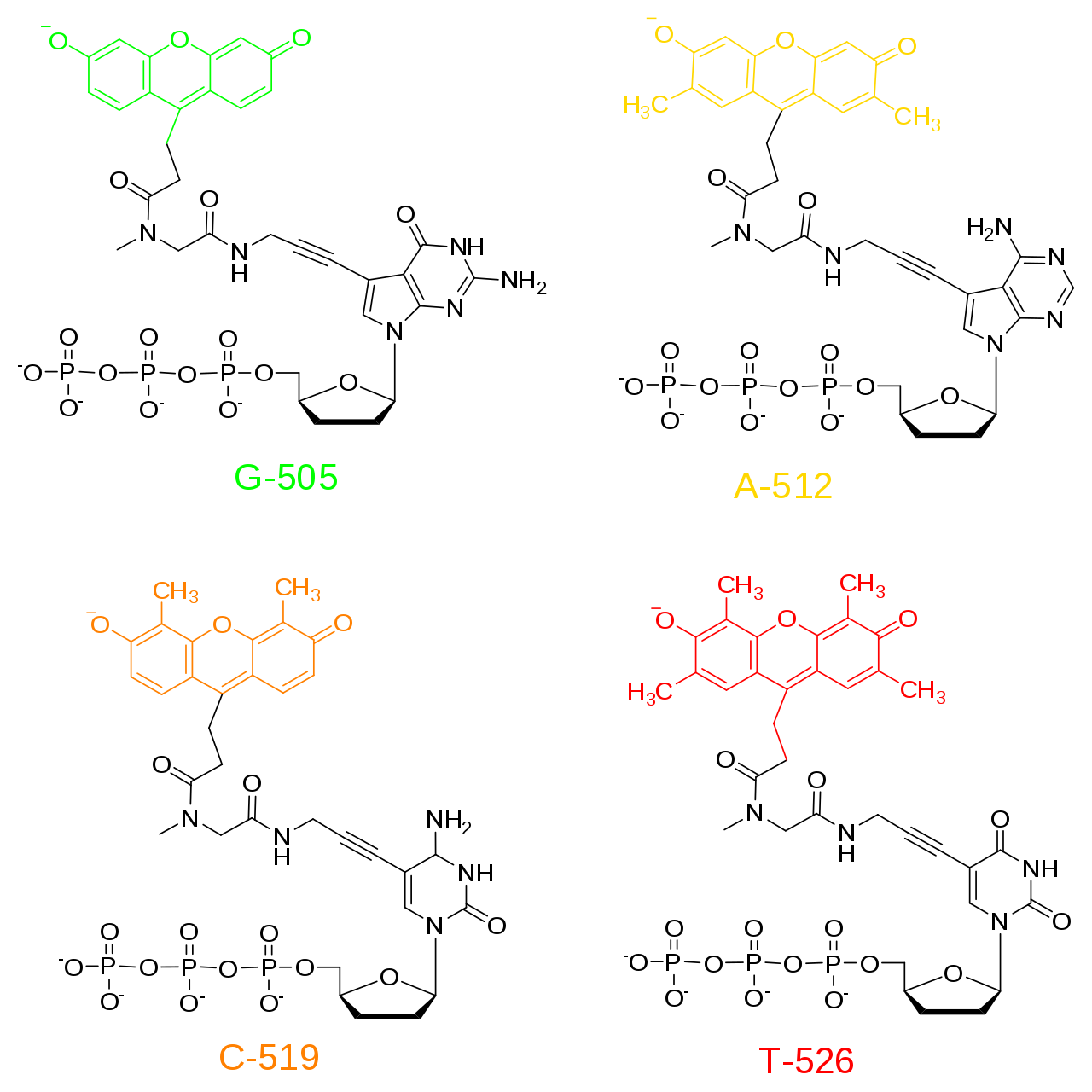 生物信息学Bioinformatics学习笔记(三)-高通量测序_桑格测序前100bp_cling5899的博客-CSDN博客