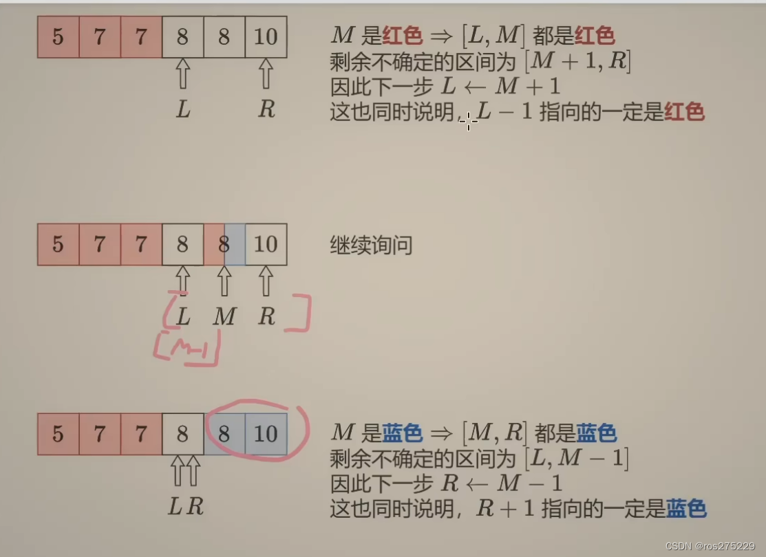 二分查找 红蓝染色法 【基础算法精讲 04】