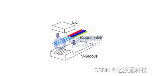 Fiber Array（FA）光纤阵列