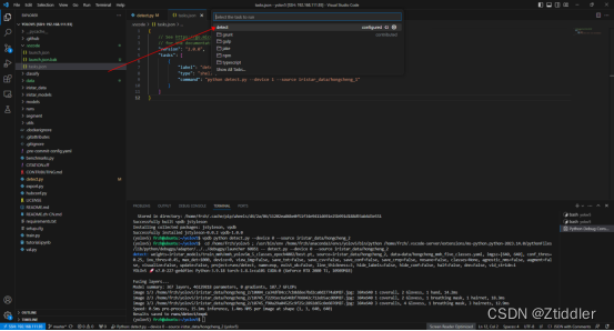 选择刚才创建的tasks.json里面的detect任务