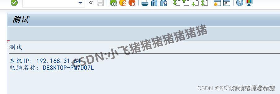 SAP 获取本机信息（IP及电脑名称）＜转载＞