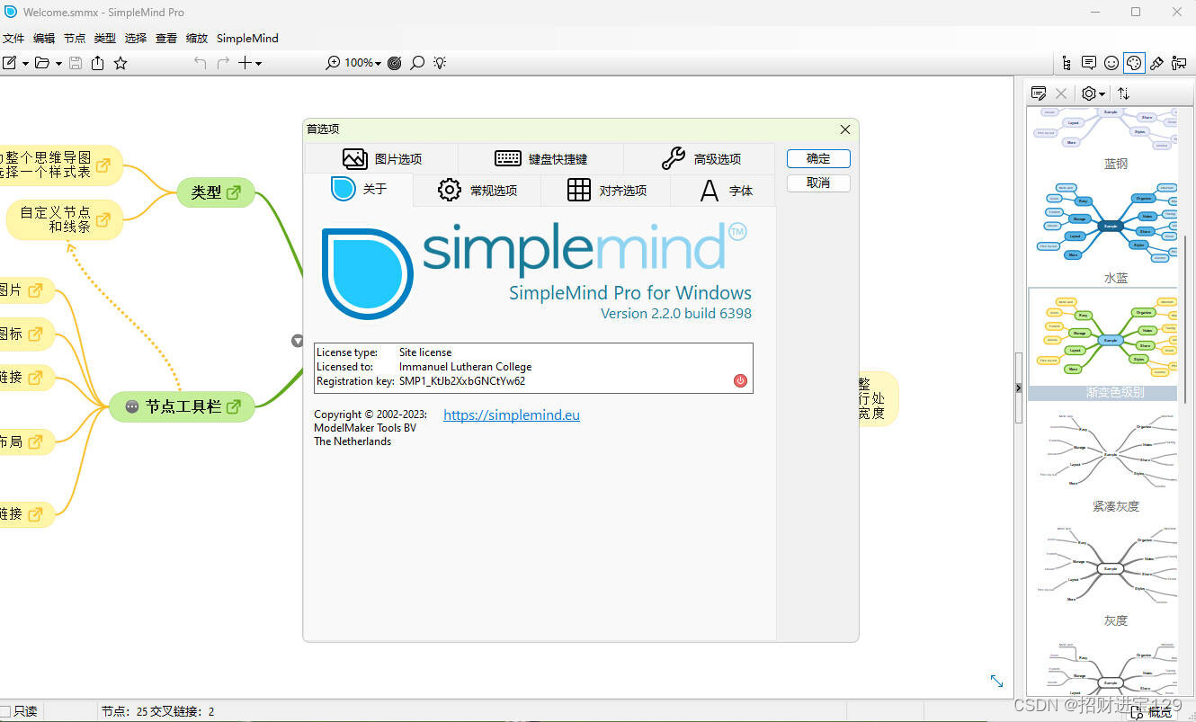 SimpleMind Pro(电脑版思维导图软件)中文版