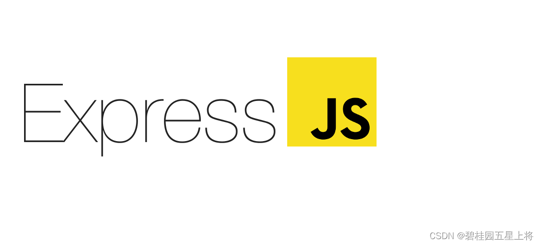 Express.js 框架开发技巧