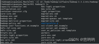 在这里插入图片描述