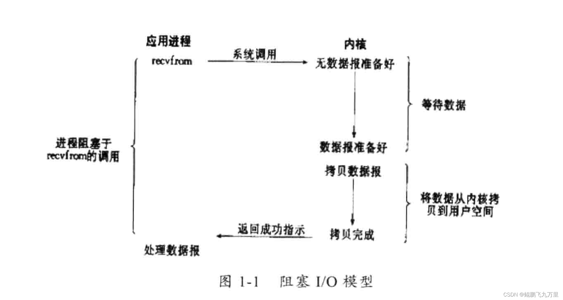阻塞IO