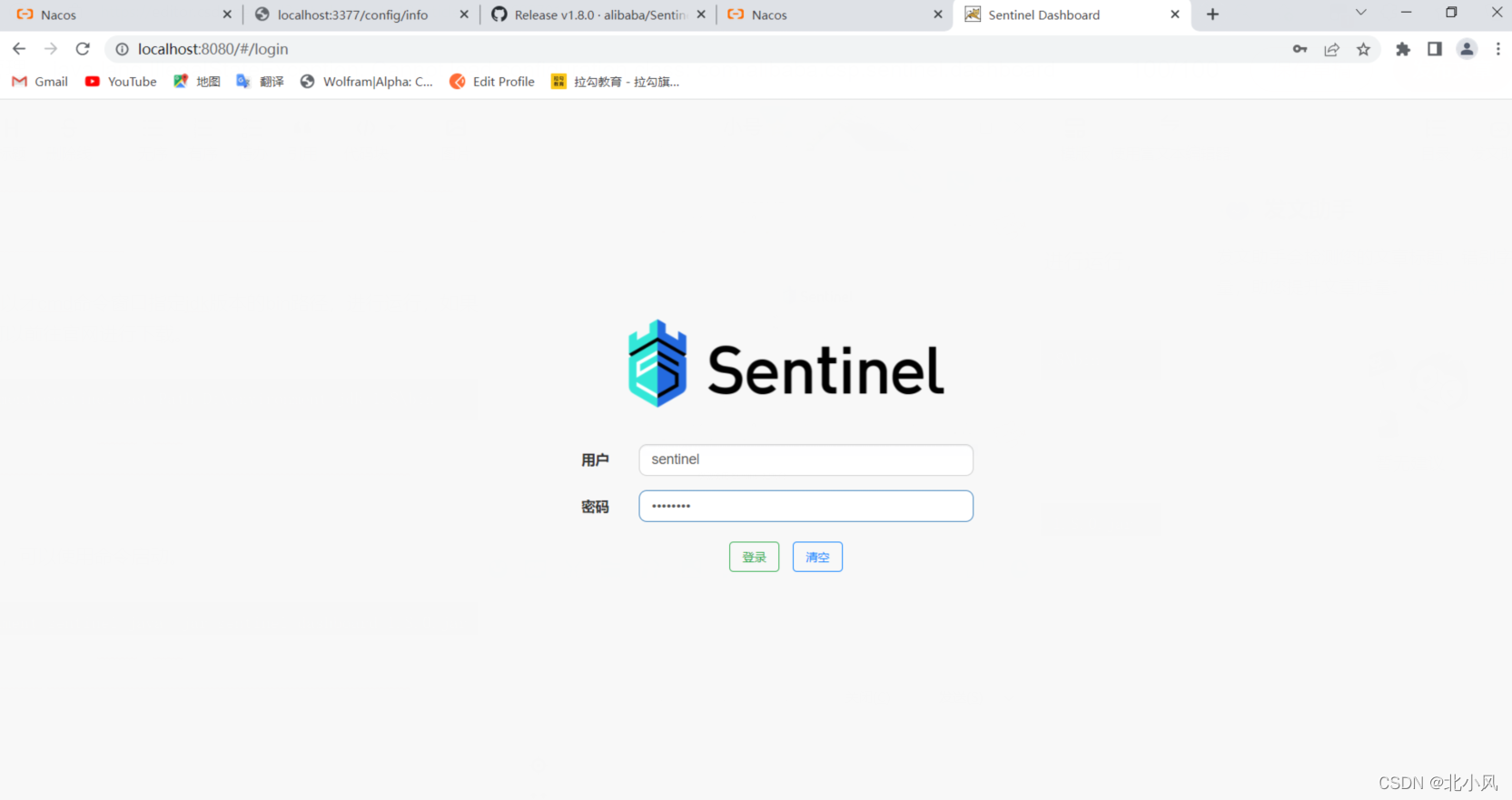 Java Lang IllegalStateException Cannot Load Configuration Class Com Alibaba Csp Sentinel