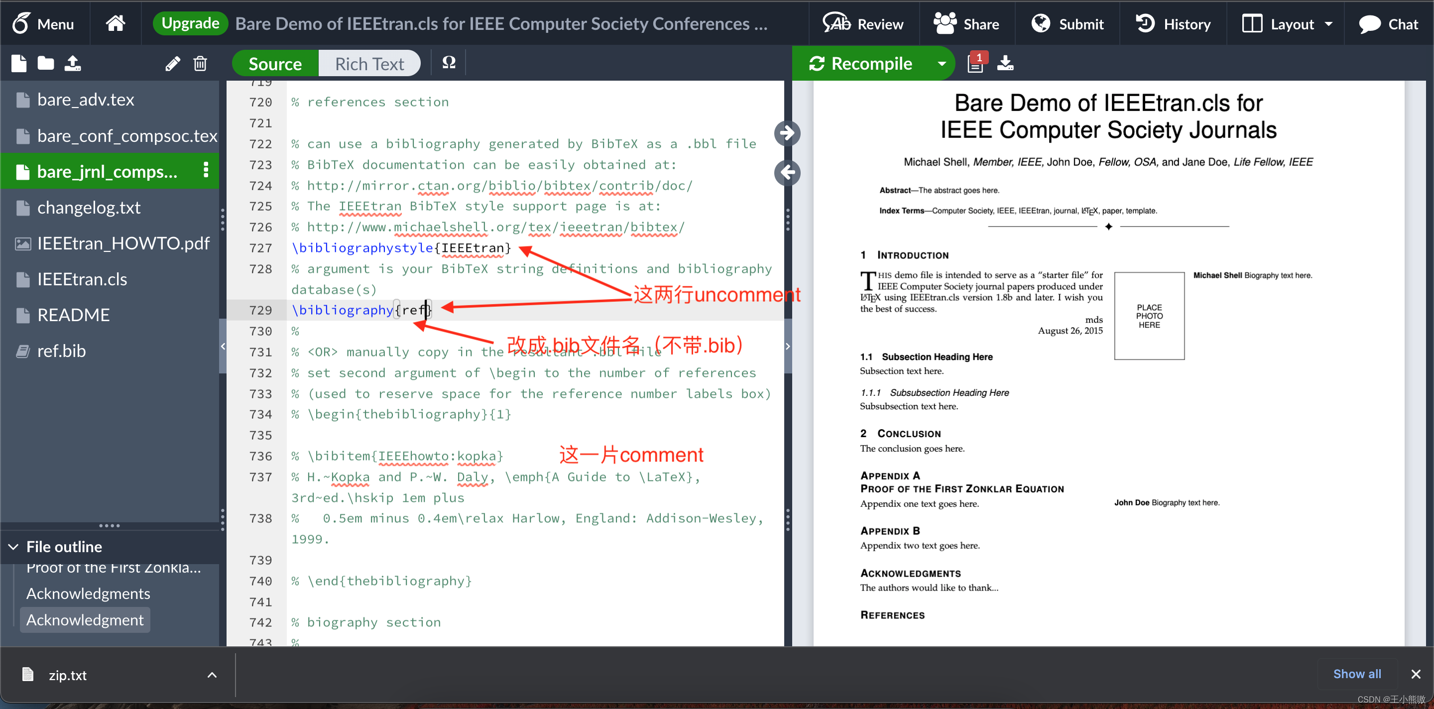 在IEEE TVCG模板使用bib文件加入参考文献_ieeeabrv怎么使用CSDN博客
