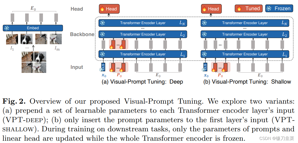 Overview of our proposed VPT