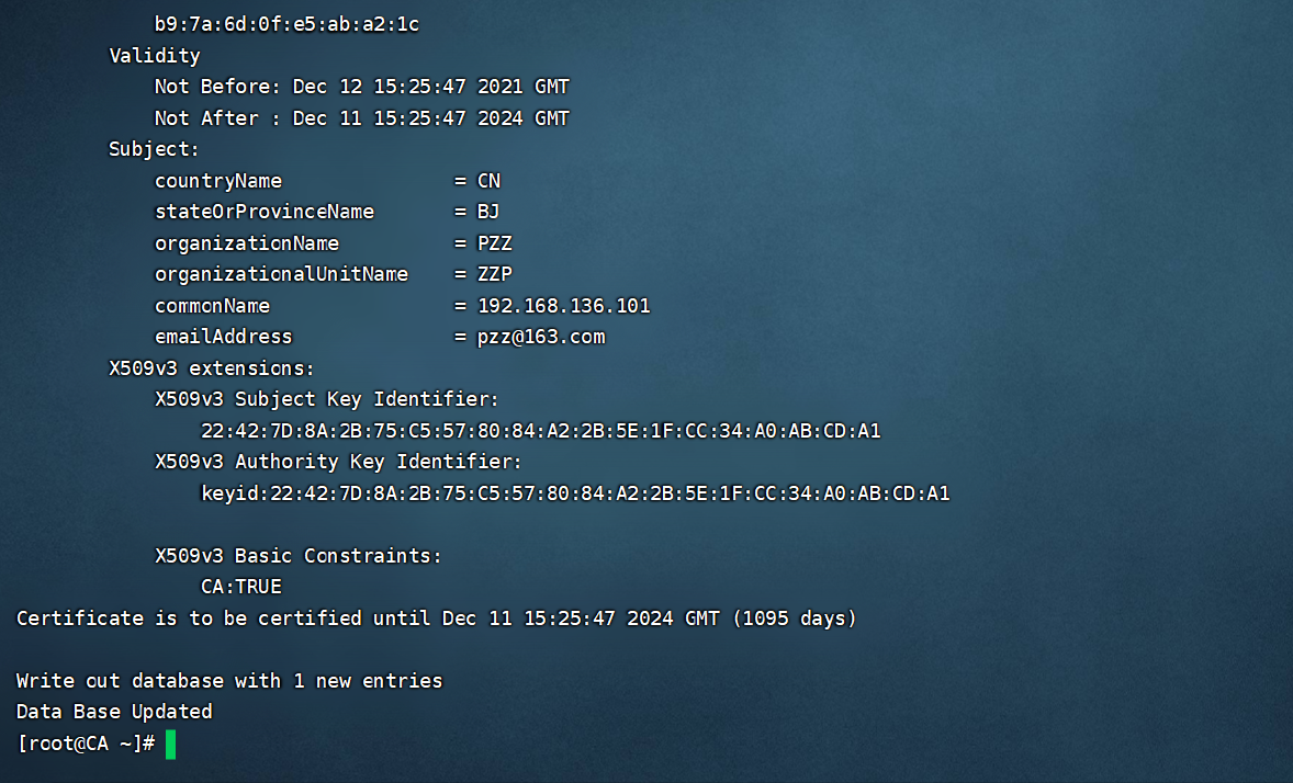自建ca生成证书详解