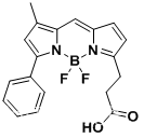 【星戈瑞】BODIPY-530/550氟化硼二吡咯荧光染料