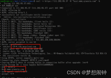 domain_fronting域名前置检测调研笔记