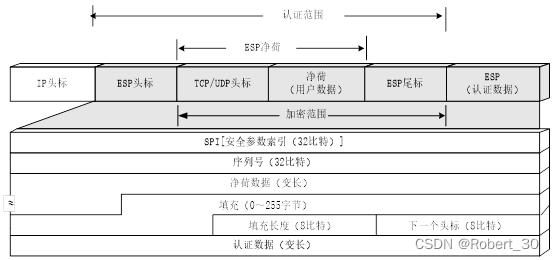 ESP协议格式