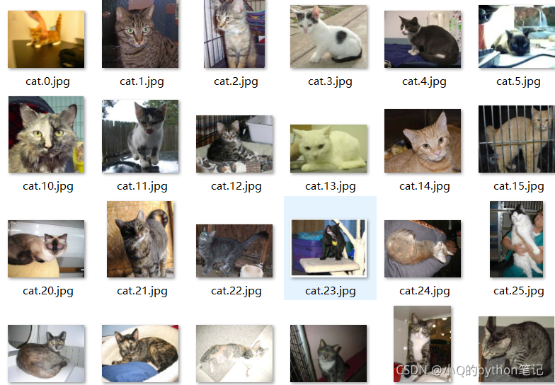 Resnet Cat Image 基于tensorflow2.x搭建ResNet训练kaggle数据集实现猫狗分类_tensorflow2使用 resnet-CSDN博客