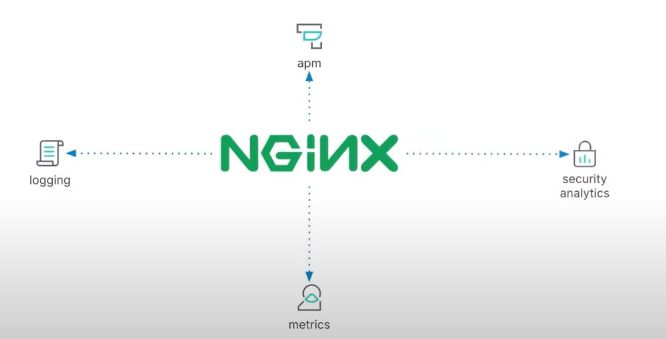 Observability：运用 Fleet 来轻松地导入 Nginx 日志及指标