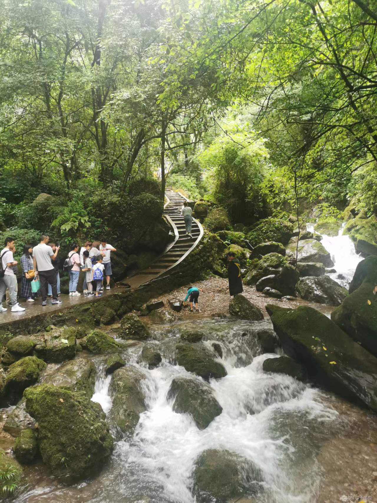 登青城后山