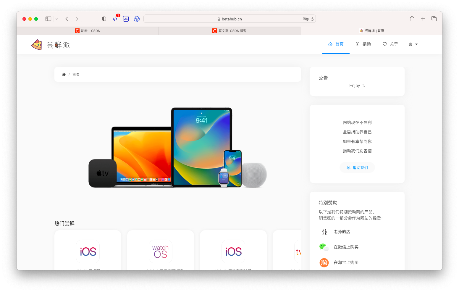 BetaHub