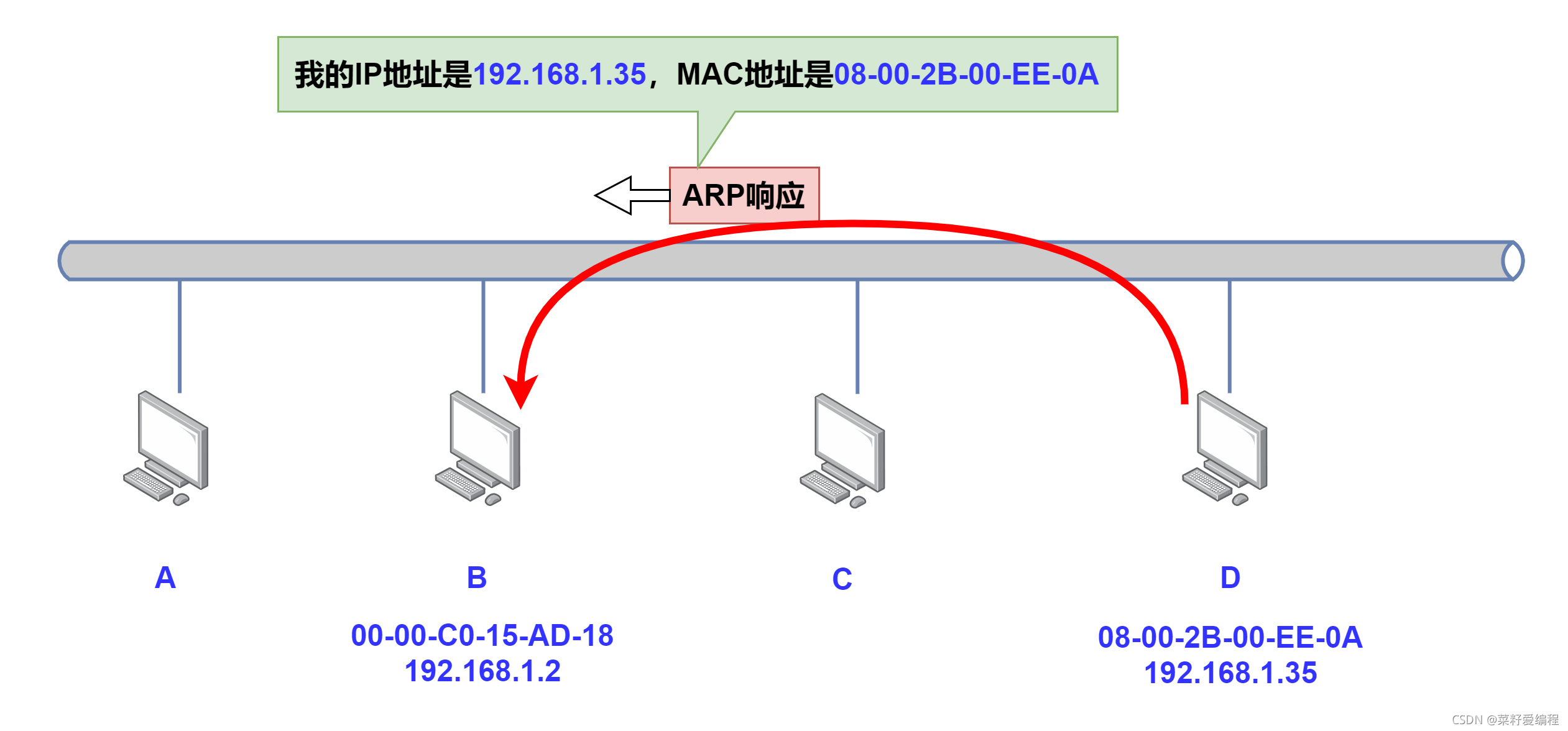 ARP响应