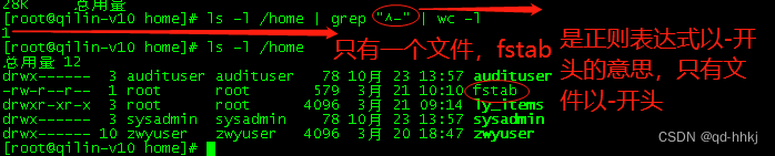 银河麒麟v10系统硬盘挂载