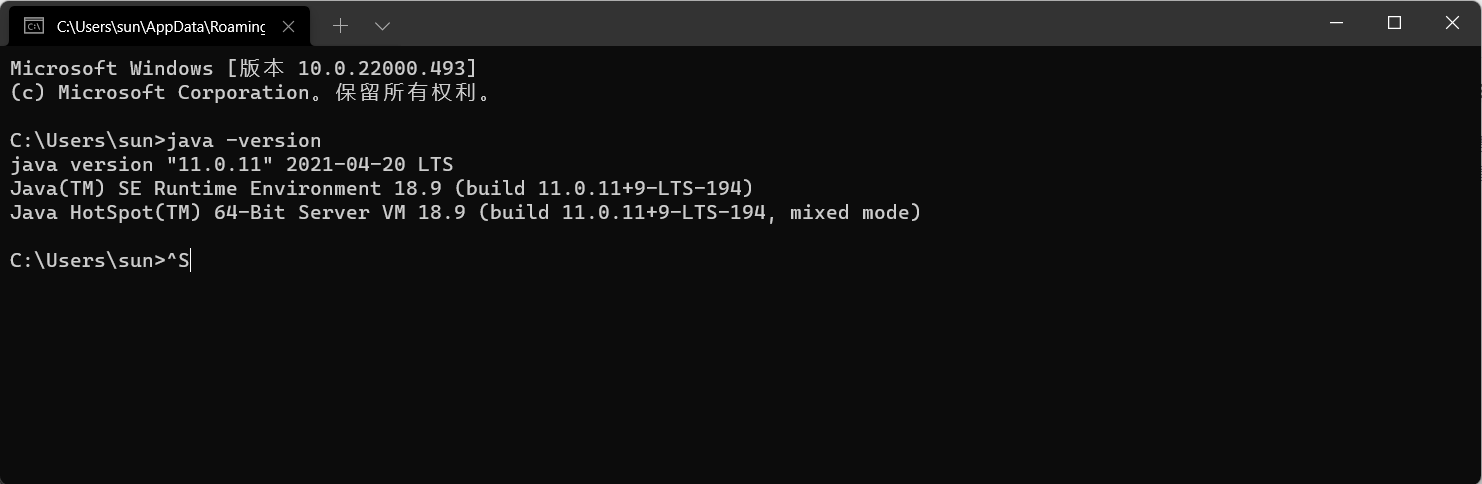 Windows 安装 JDK-11