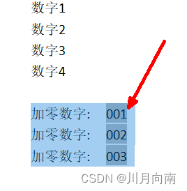 数字前加0的自动编号，成功