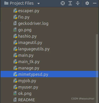 rename self-defined mimetypes.py to mimetypesd.py