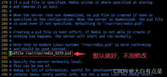 不用修改291行pidfile参数值