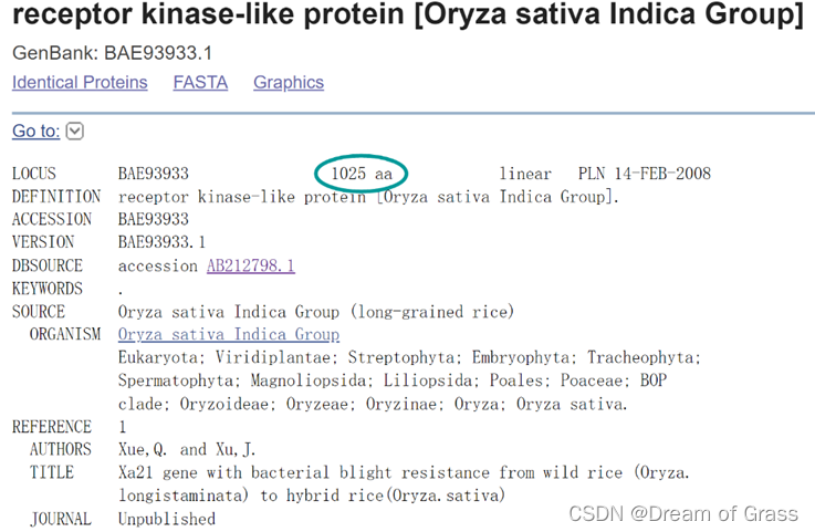 图3 点击Protein选项后的蛋白质GeneBank数据