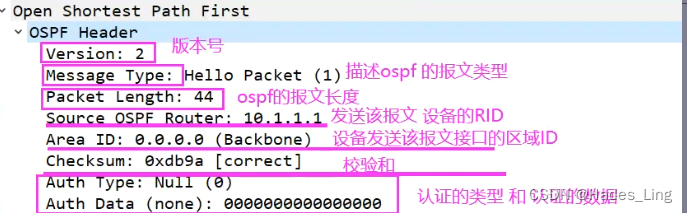 路由 OSPF常见4种网络类型MA、P2P、NBMA、P2MP、OSPF报头字段信息简介。