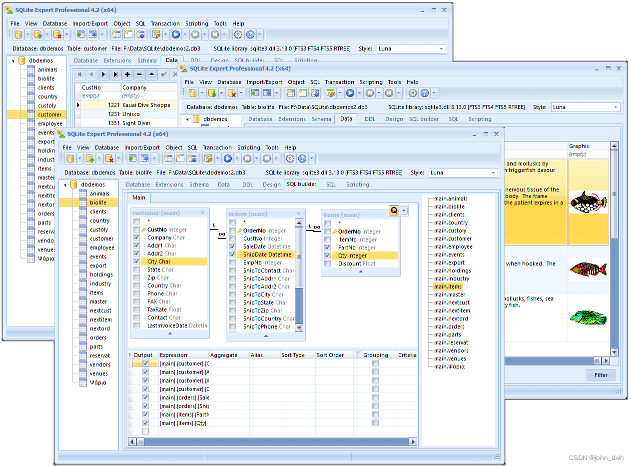 SQLite Expert 5.X 通用注册版-你的SQL好帮手